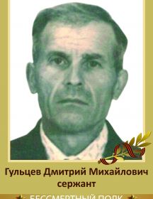 Гульцев Дмитрий Михайлович