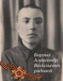 Борзых Александр Васильевич