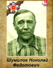 Шумилов Николай Федотович 