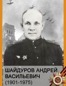 Шайдуров Андрей Васильевич