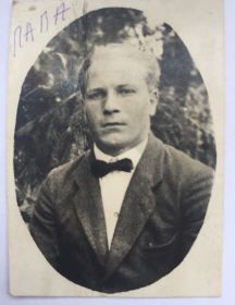 Моисеев Александр Евсеевич