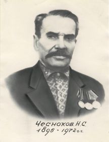 Чесноков Николай Степанович