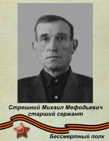 Cтрешний Михаил Мефодьевич