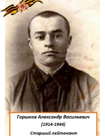 Горшков Александр Васильевич