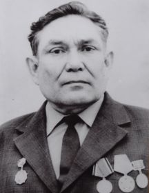 Вдовиченко Анатолий Романович