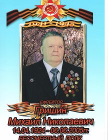 Гришин Михаил