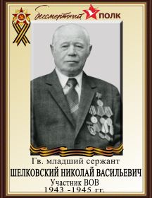 Шелковский Николай Васильевич