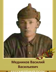 Медников Василий Васильевич