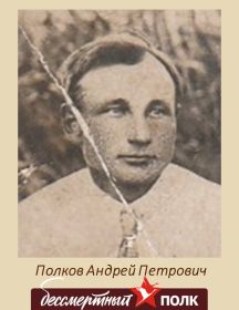 Полков Андрей Петрович