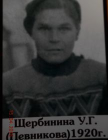 Щербинина Ульяна Глебовна