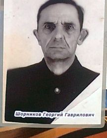Шорников Георгий Гаврилович