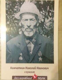 Камчаткин Николай Иванович