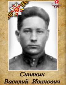 Синякин Василий Иванович