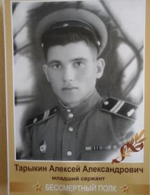 Тарыкин Алексей Александрович