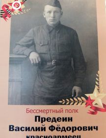 Предеин Василий Фёдорович