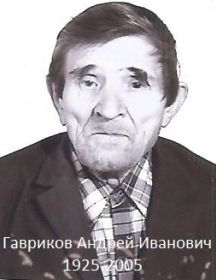 Гавриков  Андрей Иванович