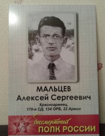 Мальцев Алексей Сергеевич