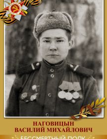 Наговицын Василий Михайлович 