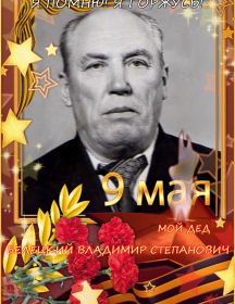 Белецкий Владимир Степанович