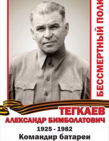 Тегкаев Александр Бимболатович