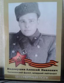 Недокушев Алексей Павлович
