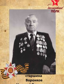 Воронков Николай Васильевич 