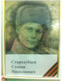 Стародубцев Степан Николаевич