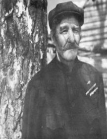 Дорофеев Марк Арсеньевич 