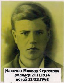 Никитин Михаил Сергеевич