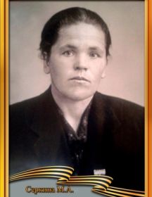 Серкина Мария Андреевна