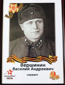 Вершинин Василий Андреевич 