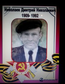 Николаев Дмитрий Николаевич