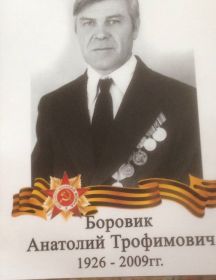 Боровик Анатолий Трофимович