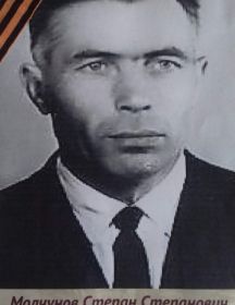 Молчунов Степан Степанович