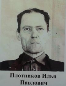 Плотников Илья Павлович