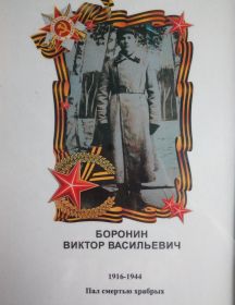 Боронин Виктор Васильевич