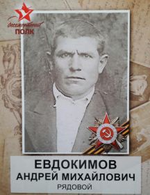Евдокимов Андрей Михайлович