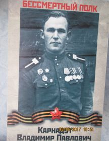 Карнадуд Владимир Павлович