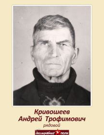 Кривошеев Андрей