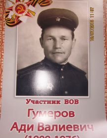 Гумеров Ади Валиевич