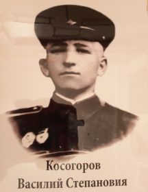 Косогоров Василий Степанович