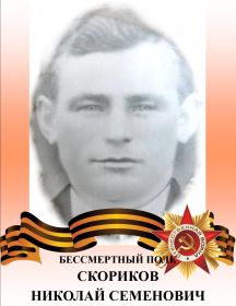 Скориков Николай Семенович