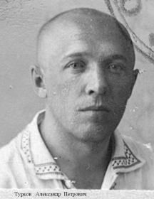 Турков Александр Петрович