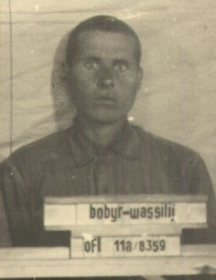 Бобырь Василий Павлович