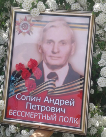 Сопин Андрей Петрович