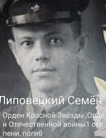 Липовецкий Семен Александрович