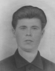 Тимошкин Александр Ильич