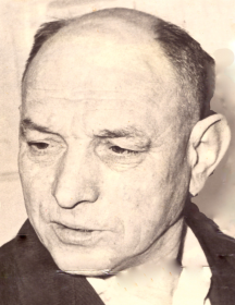 Туманов Георгий Анисимович