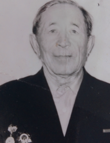 Гареев Тимерхан Гареевич