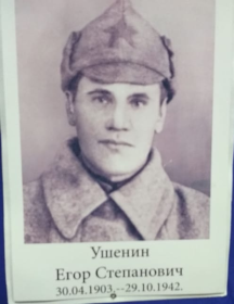 Ушенин Егор Степанович
